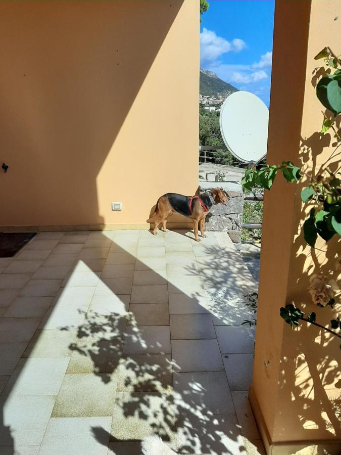 Ferienhaus Luna E Mare Cala Gonone
