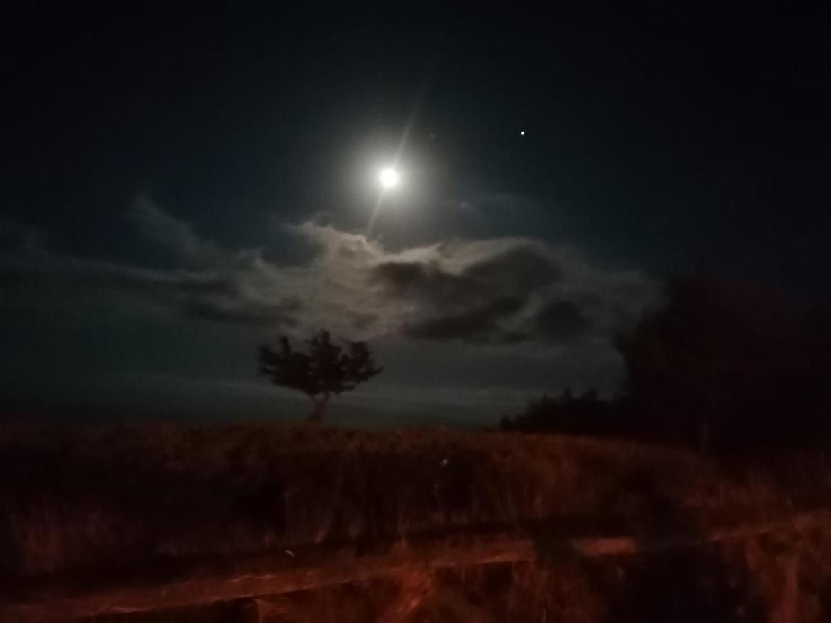 Ferienhaus Luna E Mare *